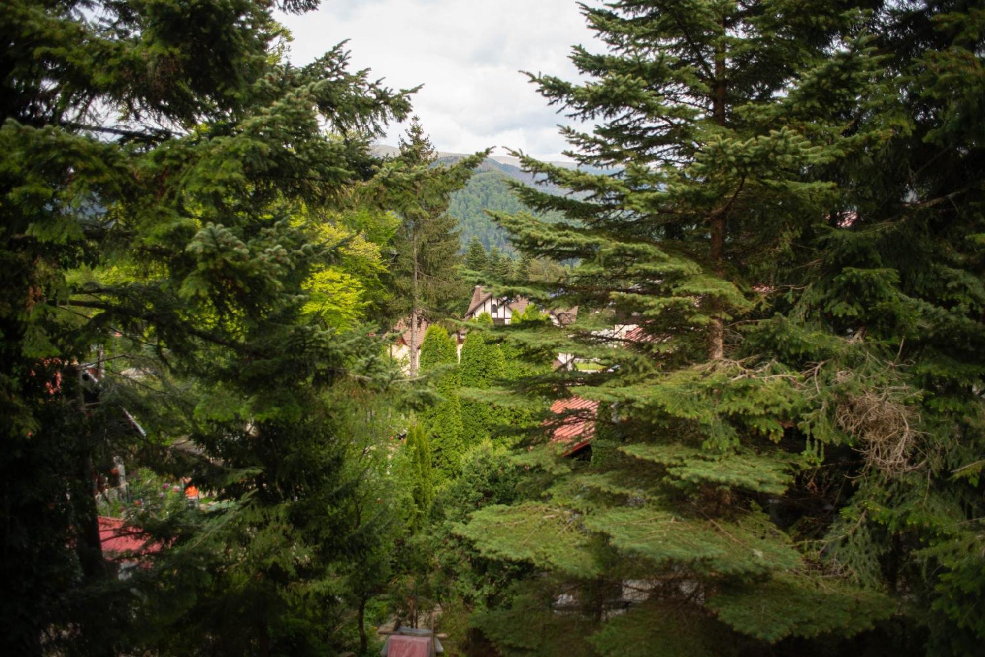 Villa Sara In Sinaia Near Peles & Gondola Exterior photo